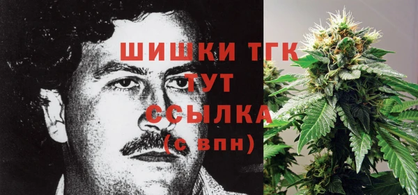 спиды Рославль